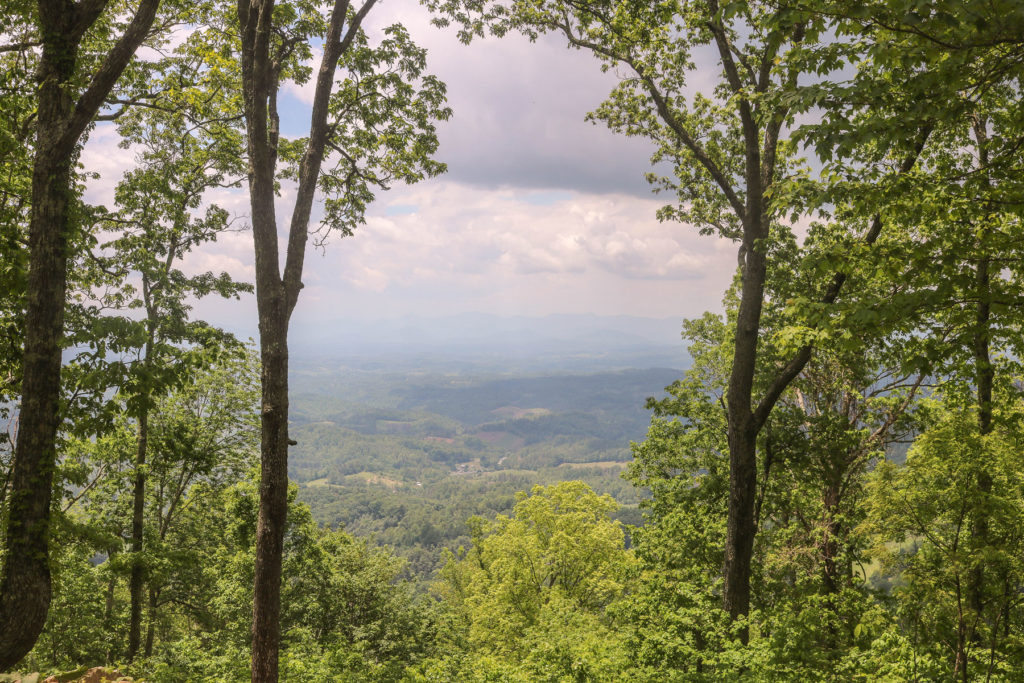 Bailey Mountain Bike Park in Marshall, NC. Scenic overlook with trees and mountains in the distance.