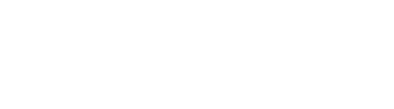 WV Women's Business Center Logo
