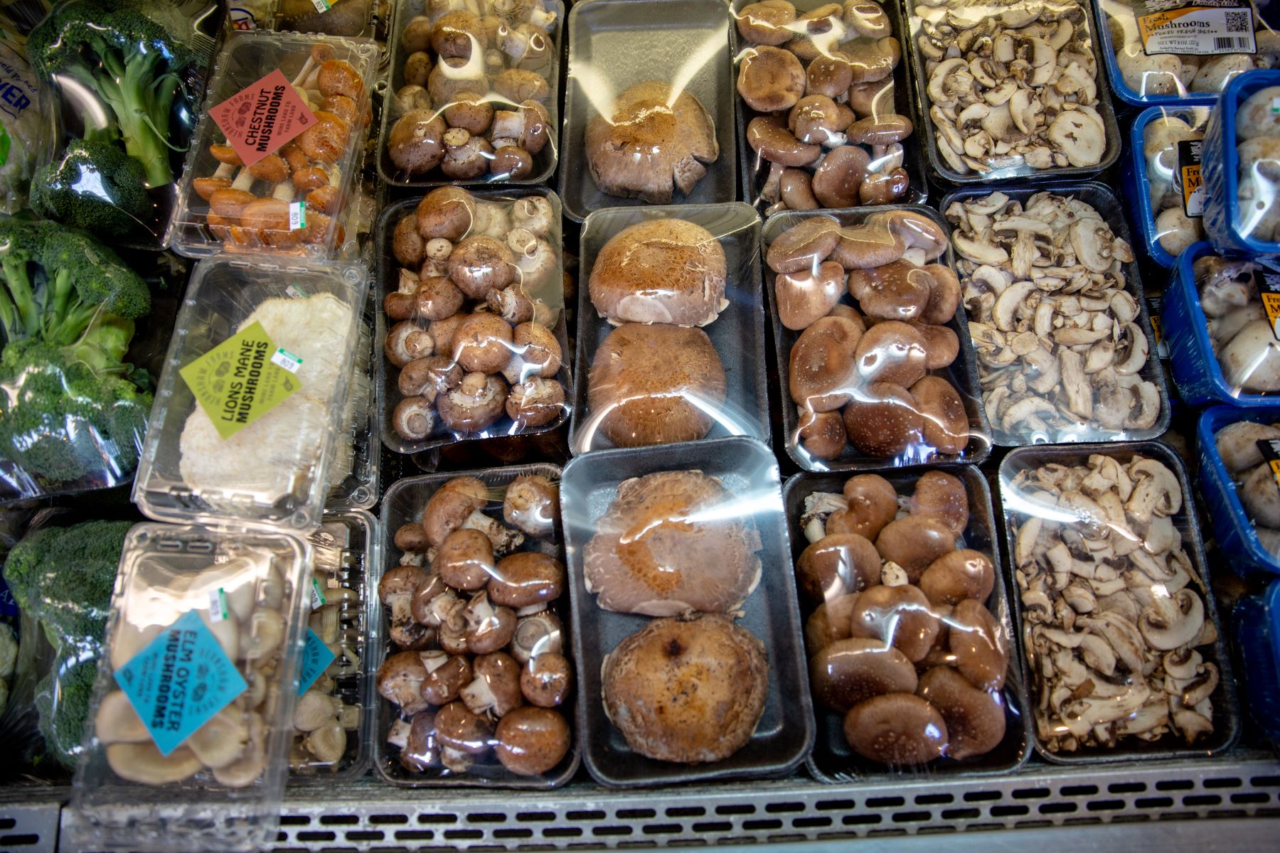 Variety of locally sourced mushrooms at the market